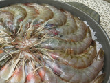 陶板鹽焗蝦